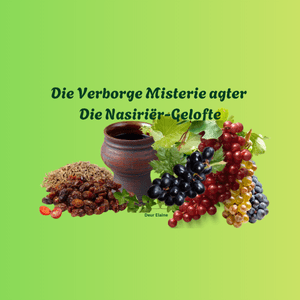Die Verborgenheid van die NasiriΓ«r-gelofte