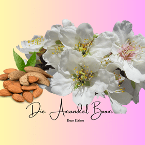 Die Amandel Boom