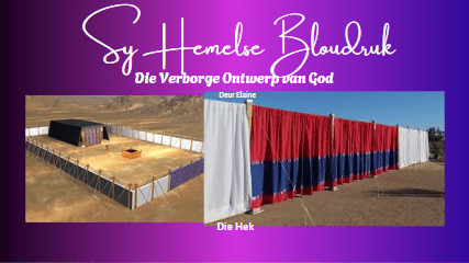 Deel 2 Die Hek