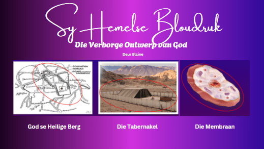Die Tabernakel Liggaam image